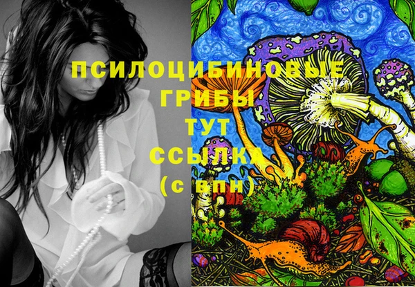 дмт Кострома