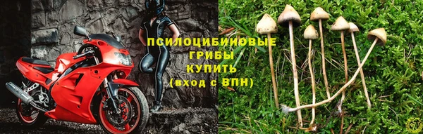 прущая мука Чита