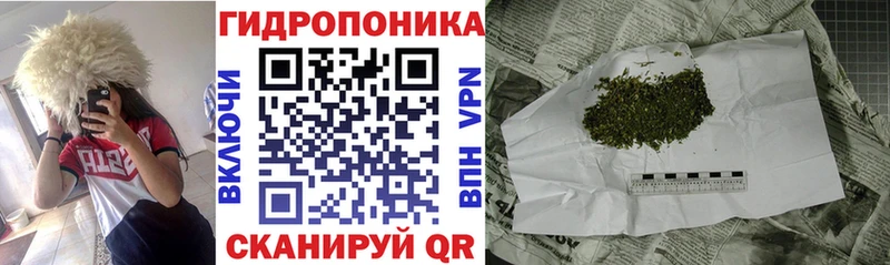 Купить закладки  Трубчевск  Бошки марихуана планчик 